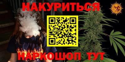 apvp Гусев
