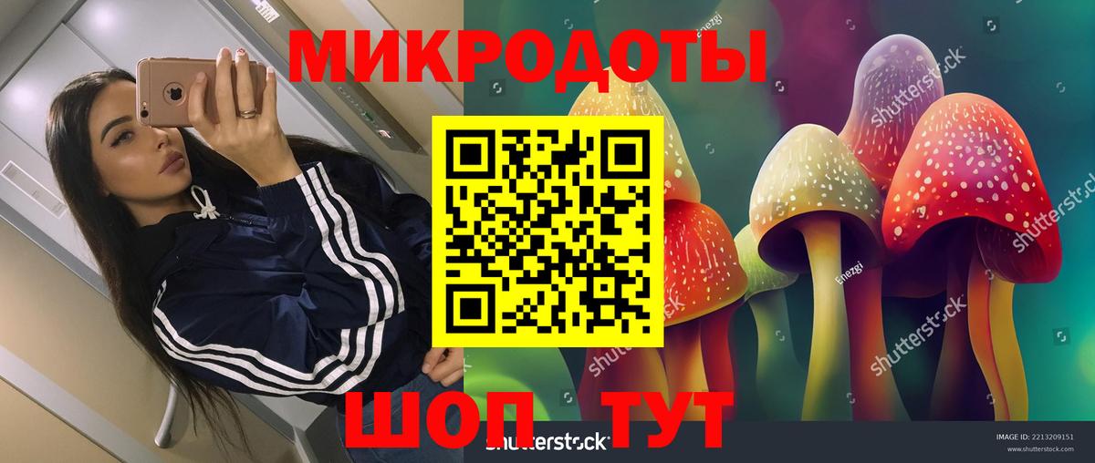 COCAIN Петрозаводск